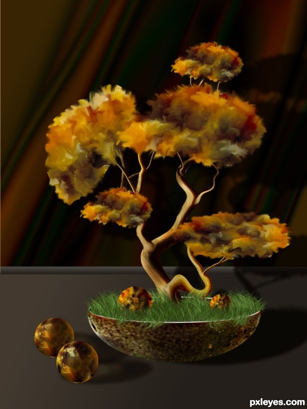 Creation of Bonsai: Final Result